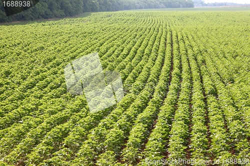 Image of Agriculture