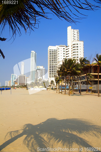 Image of  high rise buildings Bocagrande beach  Cartagena Colombia South 