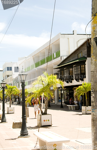 Image of shopping street palm trees San Andres town Colombia South Americ
