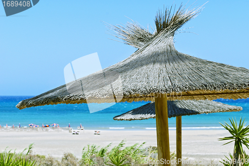 Image of Beach Umbrellas