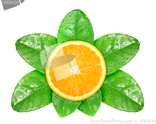 Image of Orange fruit on green leaf with dew