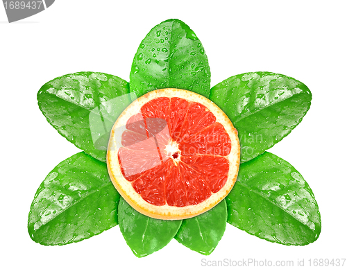 Image of Grapefruit fruit on green leaf with dew