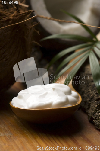 Image of Coconut and coconut oil 