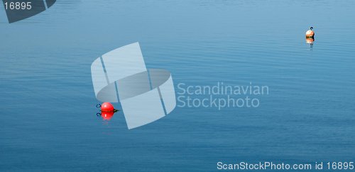 Image of Two Buoys