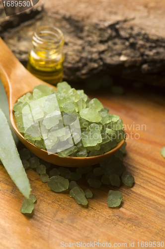 Image of Aloe vera with bath salt and massage oil