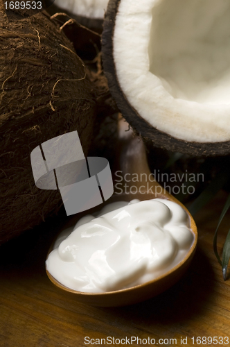 Image of Coconut and coconut oil 