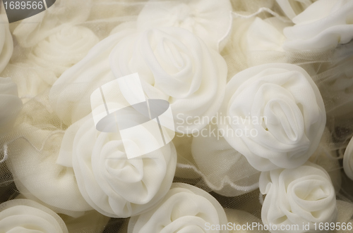 Image of White Roses