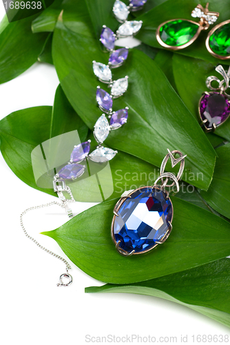 Image of Jewelry at green leaves
