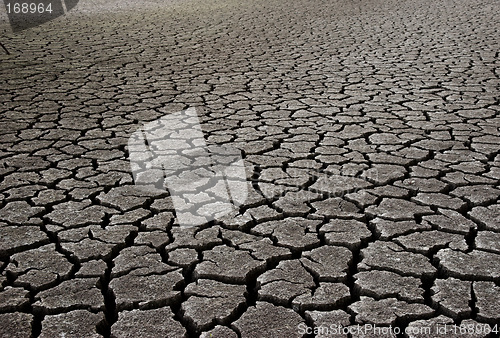 Image of Dry Mud Field