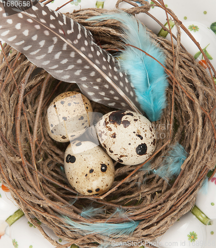 Image of quail eggs