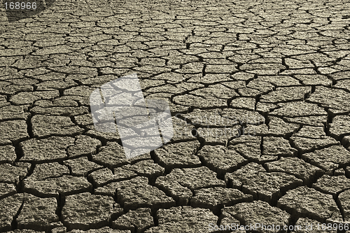 Image of Dry Mud Field