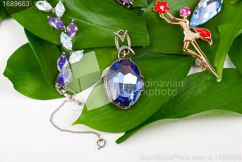 Image of Jewelry at green leaves