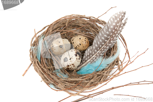 Image of quail eggs