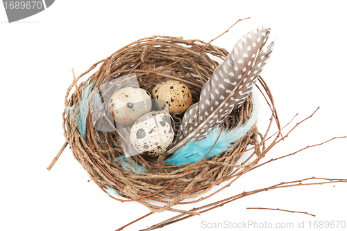 Image of quail eggs