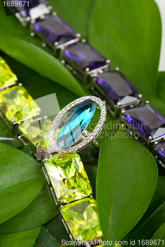 Image of Jewelry at green leaves