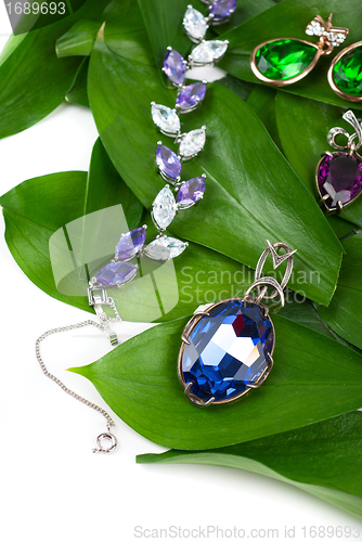 Image of Jewelry at green leaves