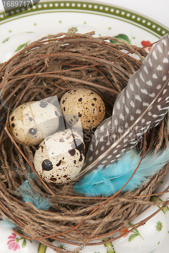 Image of quail eggs