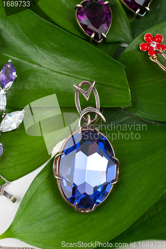Image of Jewelry at green leaves