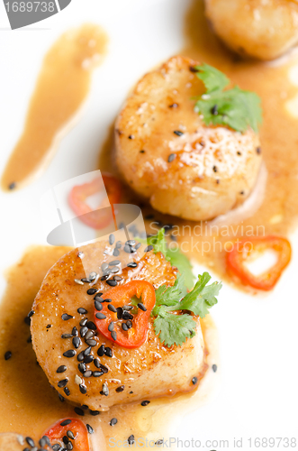 Image of Scallop