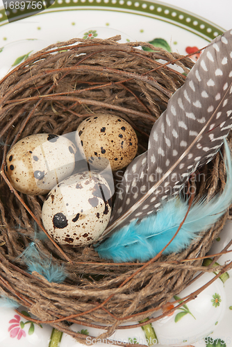 Image of quail eggs