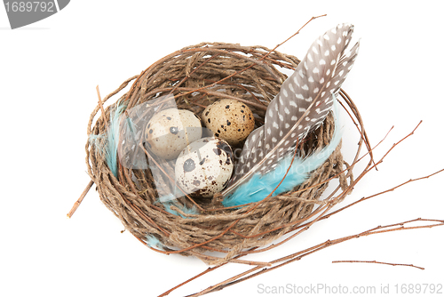 Image of quail eggs