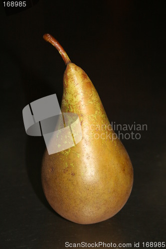 Image of Conference pear