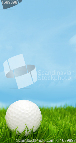 Image of Golf Ball