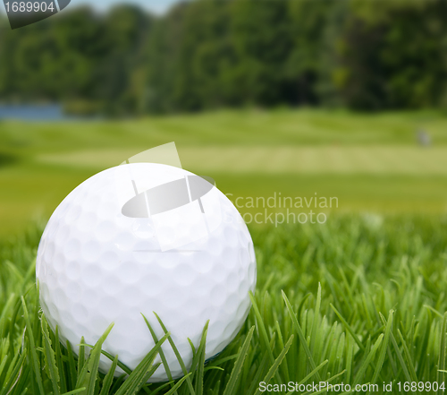 Image of Golf Ball