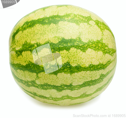 Image of Watermelon