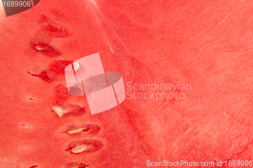 Image of Watermelon