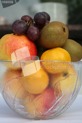 Image of Lovely colours of this fruits together