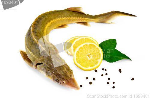 Image of Fish starlet with lemon and pepper