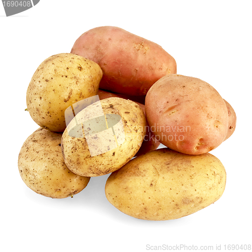 Image of Potato pink and yellow