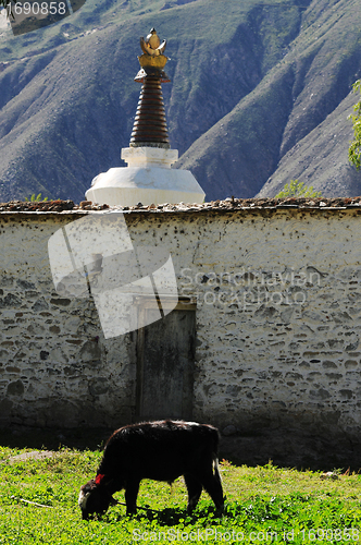 Image of Landscape in Tibet