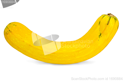 Image of Zucchini yellow whole