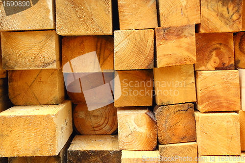 Image of felled wood