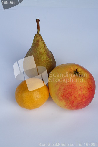 Image of Fruits together