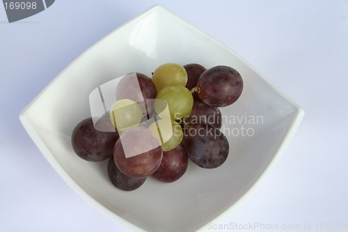 Image of Grapes