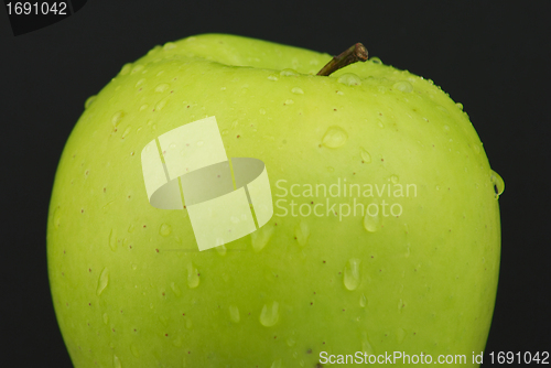 Image of Green apple on black