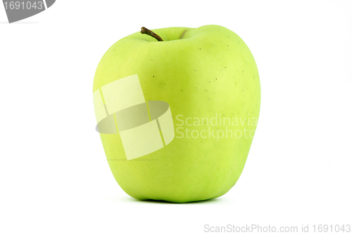 Image of Green apple on white