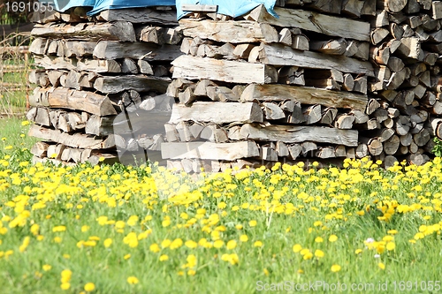 Image of stack firewood