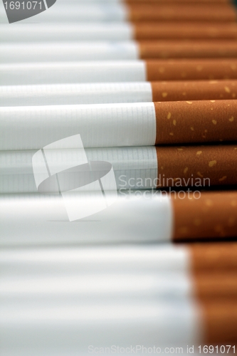 Image of plain cigarettes