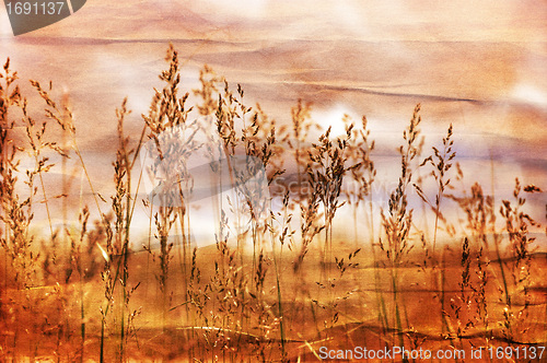 Image of Nature Background