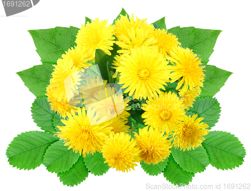 Image of Bouquet of yellow flowers