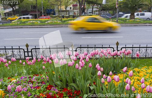 Image of Spring in Istanbul