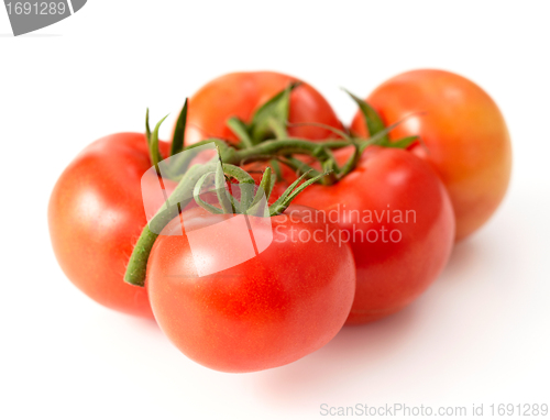 Image of fresh red tomatoes