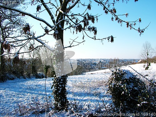 Image of Winter Snow