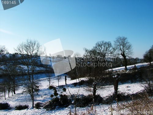 Image of Winter Snow