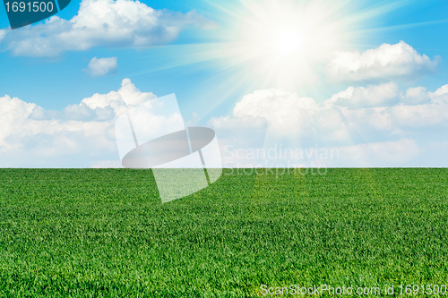 Image of Sun and field of green fresh grass under blue sky