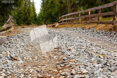 Image of road towards the forest